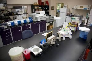 تنظيف المسكوب من المادة الكيميائية داخل مختبر الكيمياء