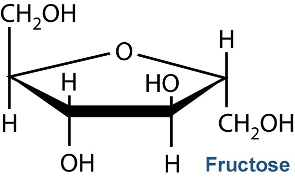 سكريات ثنائية disaccharide