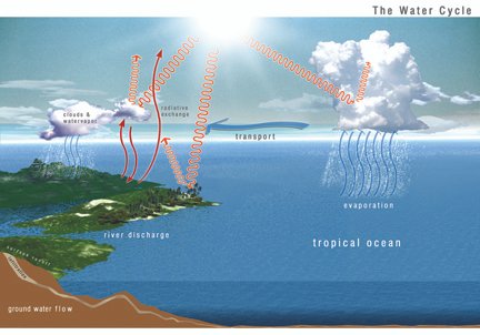 دورة الماء في الطبيعة