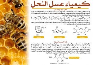 كيمياء عسل النحل