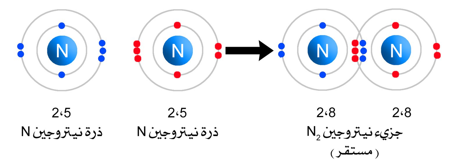 covalent bond BE N2 Nitrogen