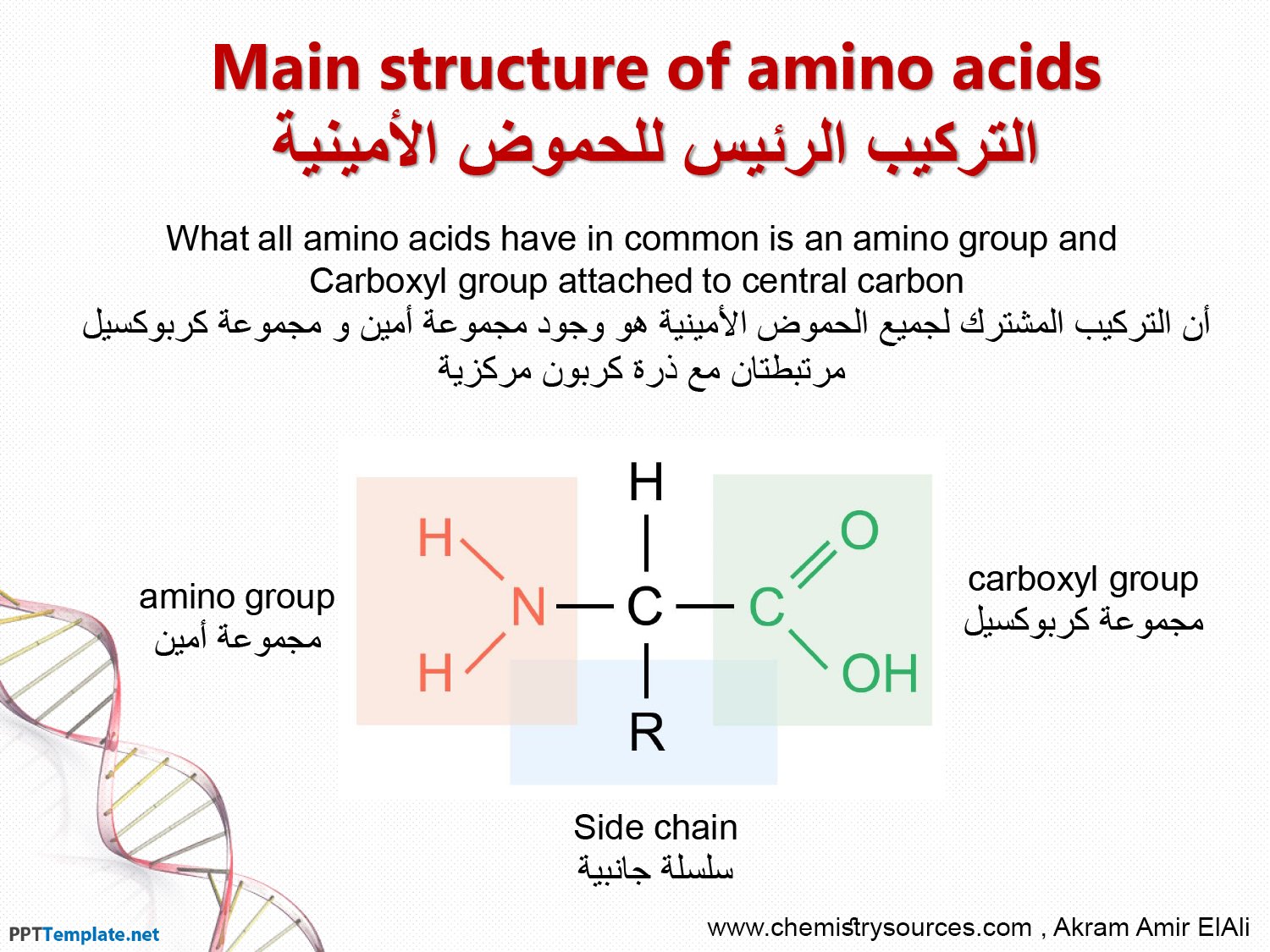 حمض أميني Amino Acid