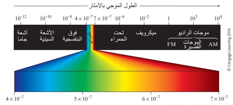 امواج الضوء المرئي اقصر من امواج الاشعه السينيه