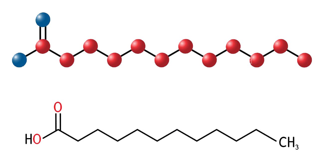 حمض اللوريك (حمض الغار) Lauric acid