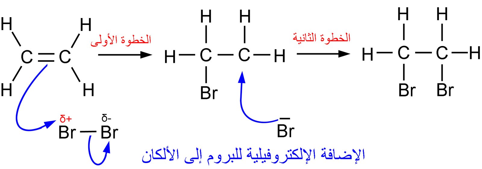 electrophilic addition bromine