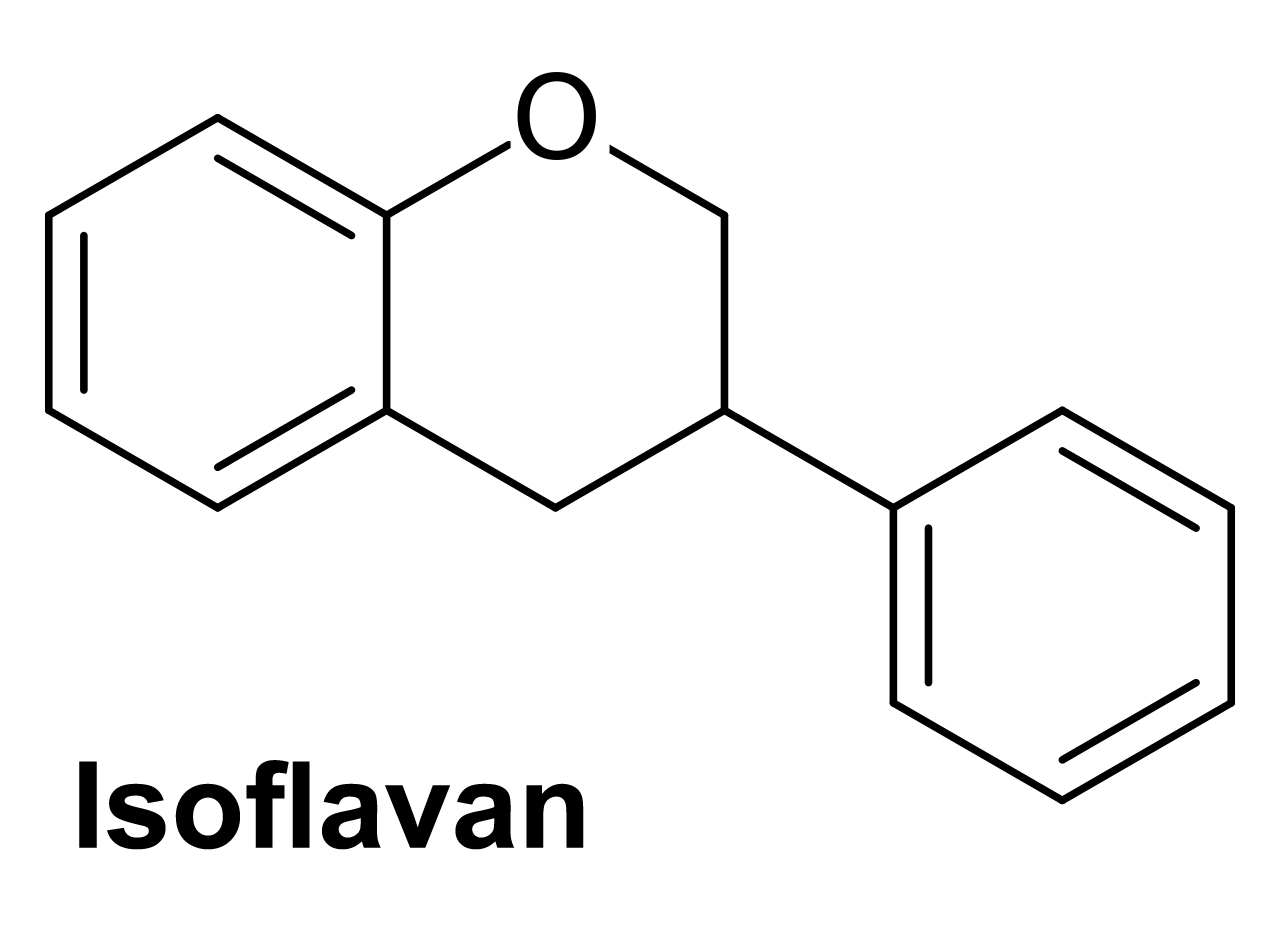 فلافونويد (فلافونيد) Flavonoid