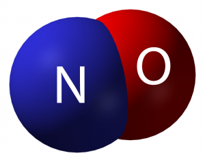 أكسيد النيتريك Nitric Oxide