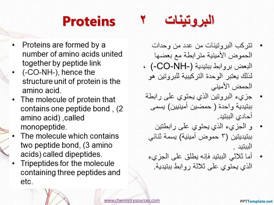 البروتينات Proteins