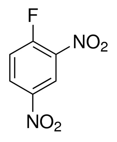 1 Fluoro 24 dinitrobenzene