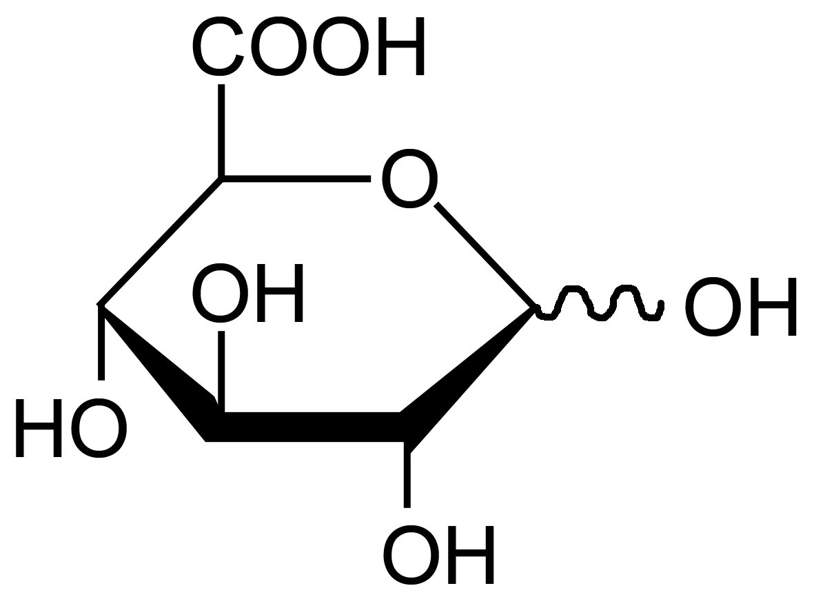 حمض الجلوكورونيك Glucuronic Acid