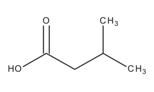 Isopentanoic Acid