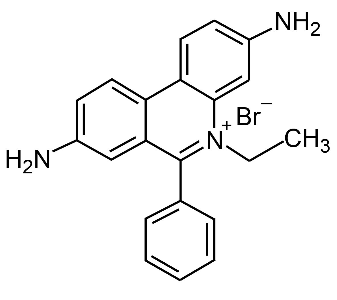 ethidium bromide NEW