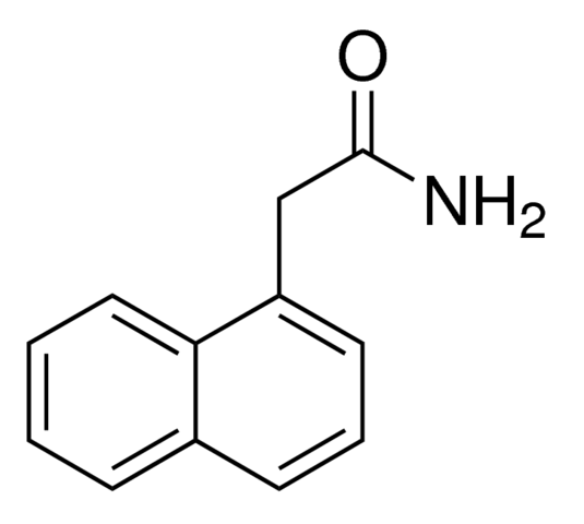 1-نفثالين أسيتاميد Naphthaleneacetamide