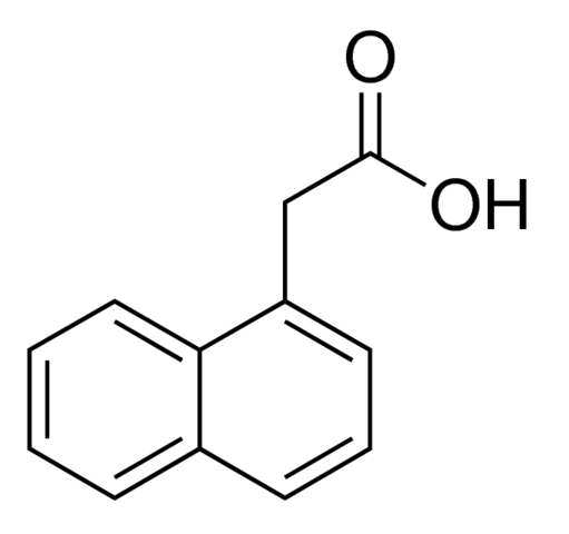 نفثالين حمض الخليك Naphthaleneacetic Acid