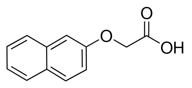 بيتا نافثو أوكسي حمض الخليك β-Naphthoxyacetic Acid