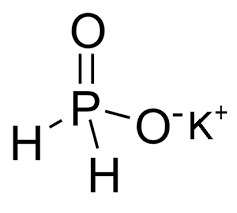 هيبوفوسفيت البوتاسيوم Potassium Hypophosphite KH2PO2