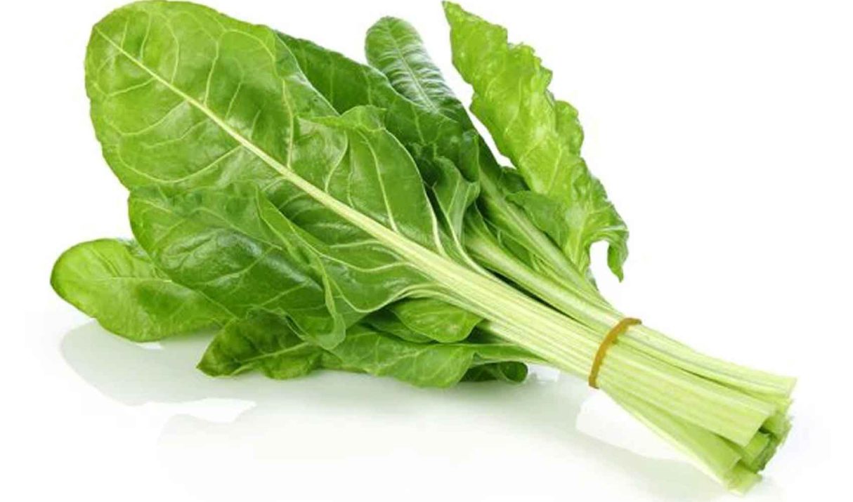 الفوائد الغذائية و الصحية للسلق Chard