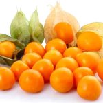 بطاقة الفوائد الغذائية و الصحية : الحرنكش Physalis