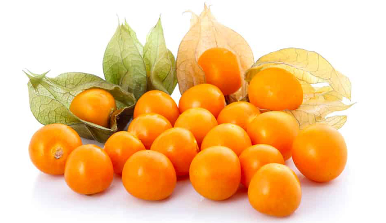 بطاقة الفوائد الغذائية و الصحية : الحرنكش Physalis