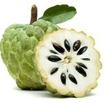 بطاقة الفوائد الغذائية و الصحية : القشطة Annona